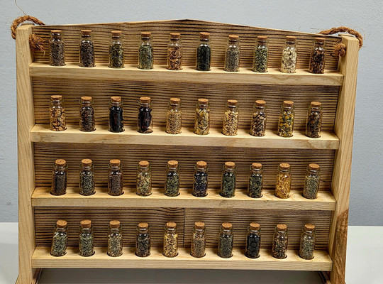 Bild eines Herbariums