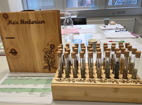 Bild eines Herbariums